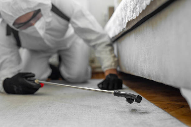 Professional Cockroach Control technician working in Turners Falls, MA